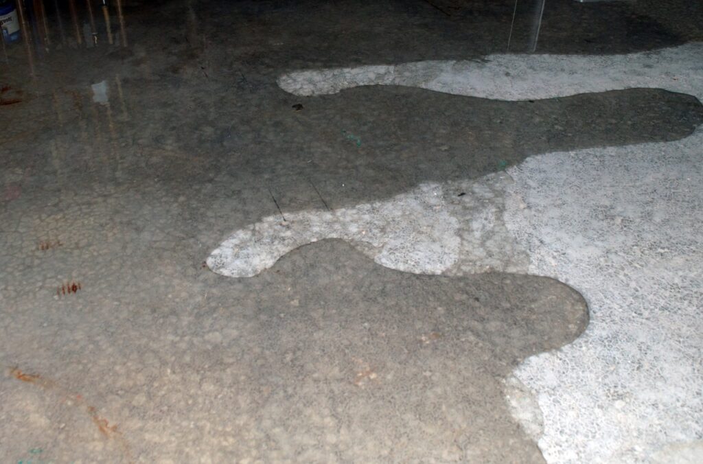 Wet basement floor