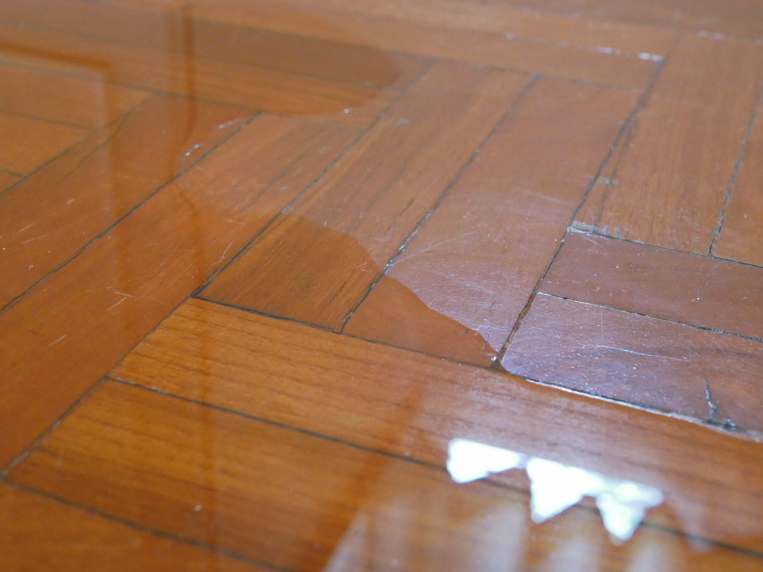 Get Expert Help Before Water Damage Strikes