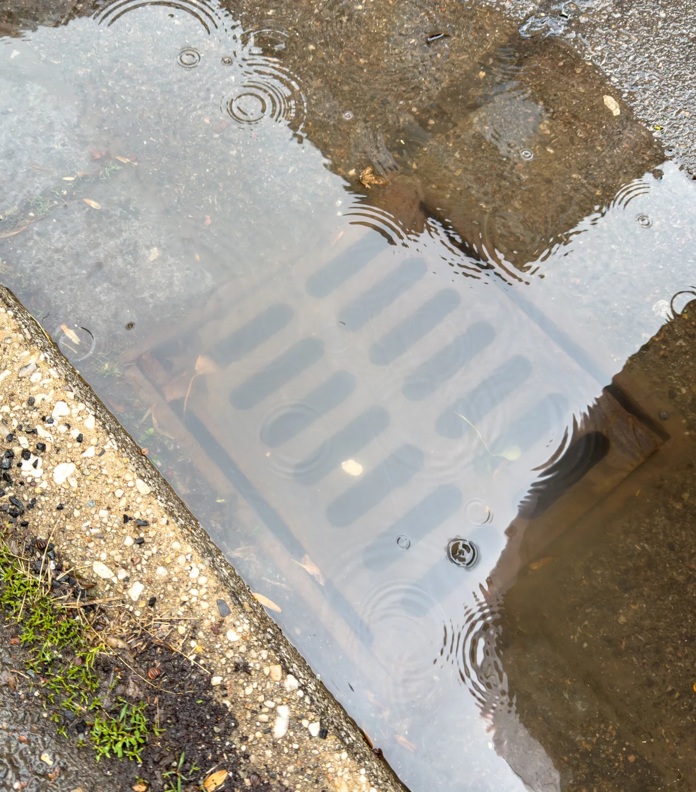 The Most Common Causes of Sewer Backups in Homes