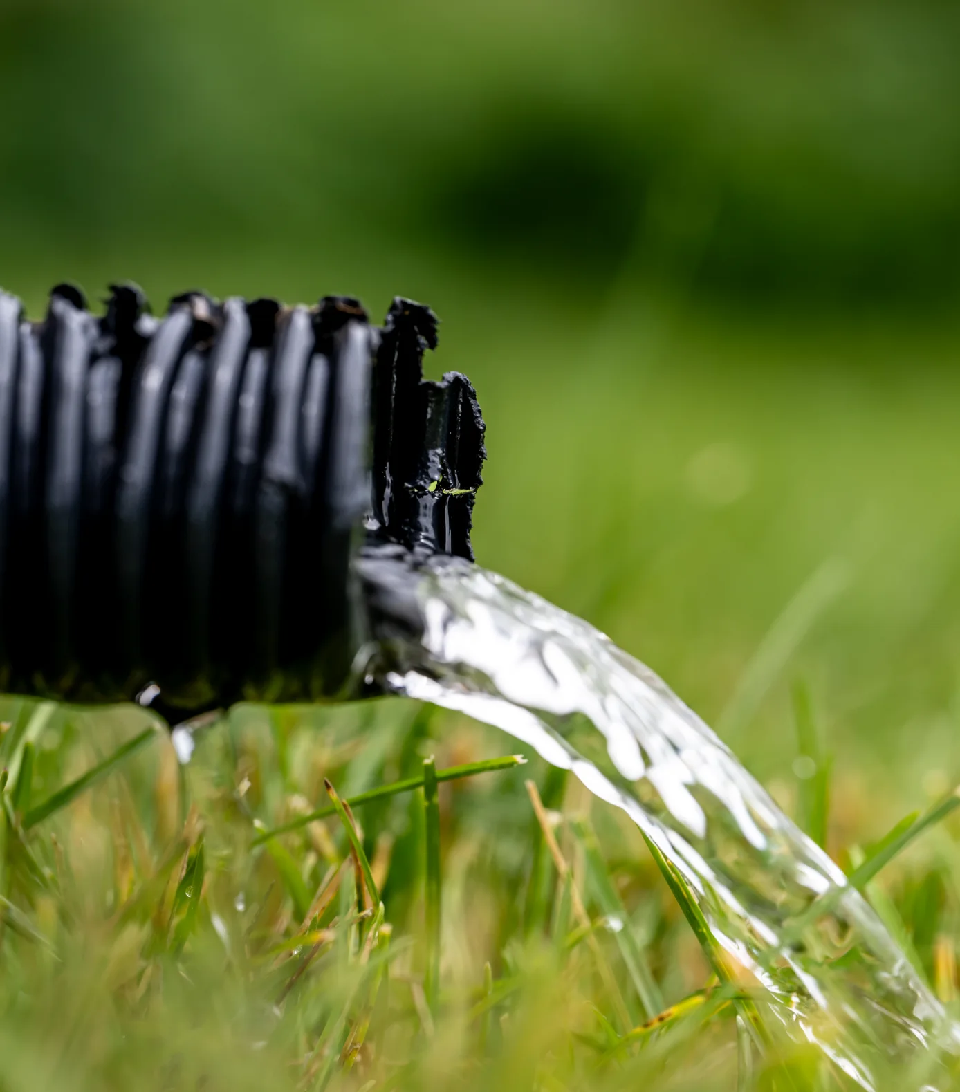 Complete Sump Pump Services for Inverness Homeowners